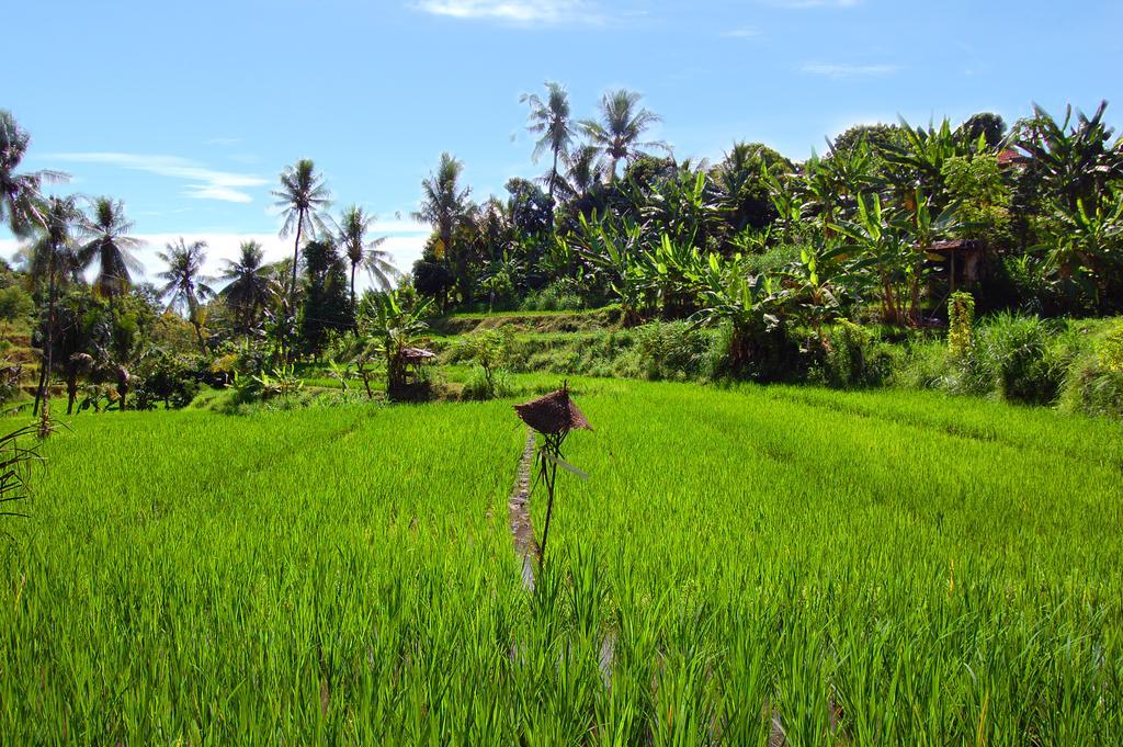 Indo Rumah Zengarden Buleleng  Bagian luar foto