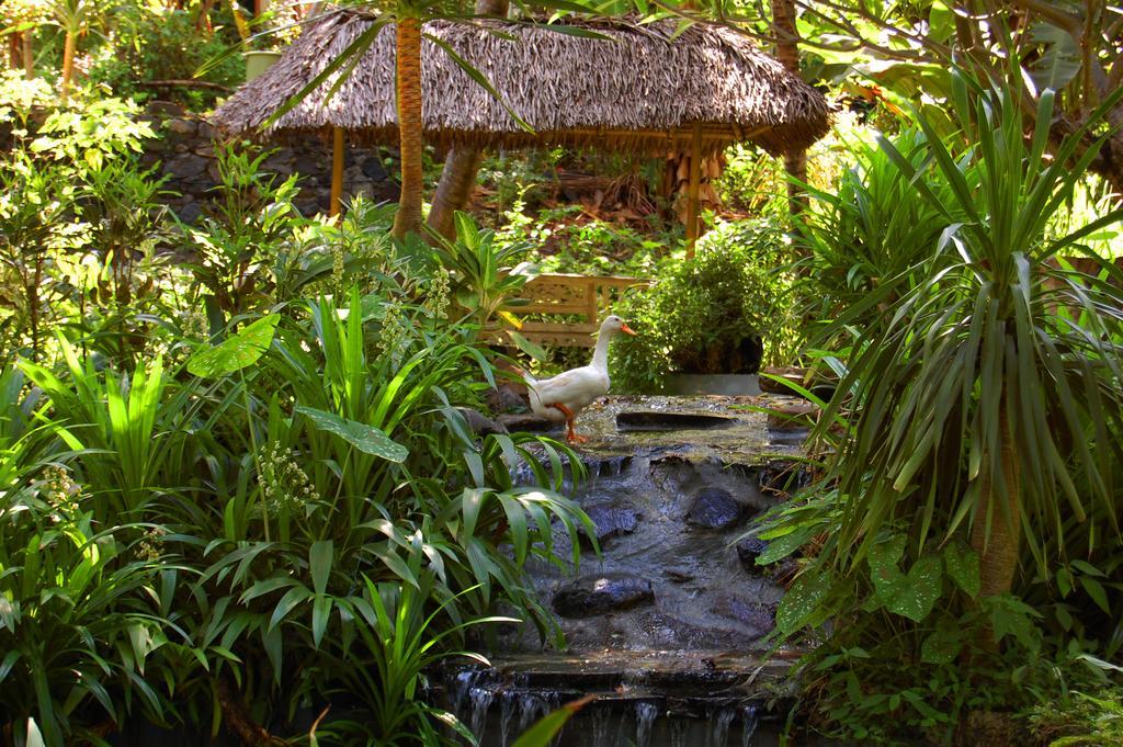 Indo Rumah Zengarden Buleleng  Bagian luar foto
